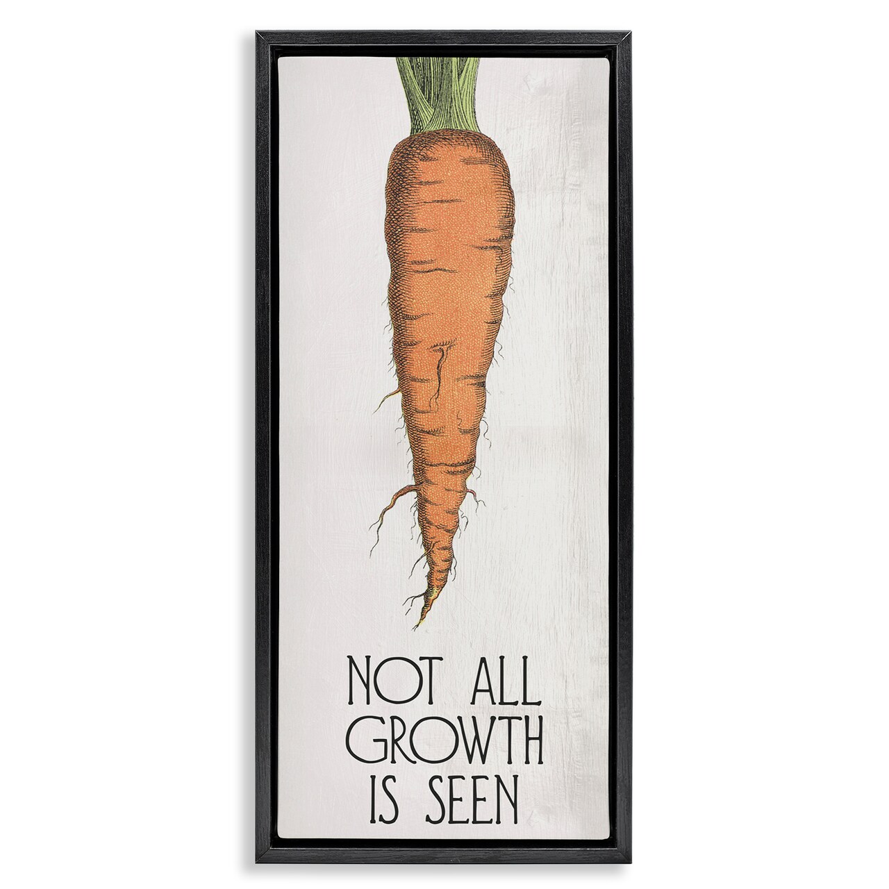 Stupell Industries Carrot & Inspiring Growth Floater Framed Canvas Wall Art Design by Daphne Polselli